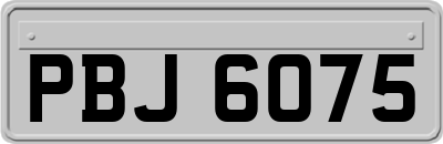 PBJ6075