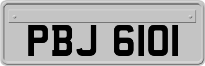 PBJ6101