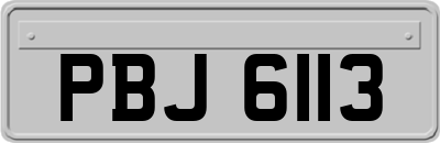 PBJ6113