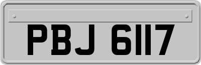 PBJ6117