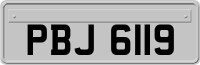 PBJ6119