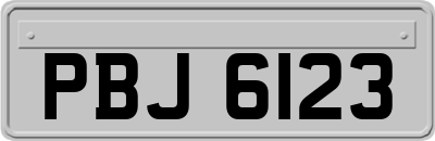 PBJ6123