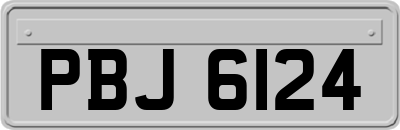 PBJ6124