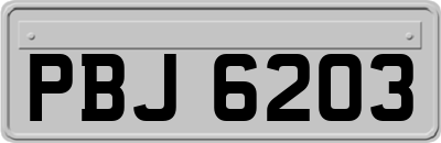 PBJ6203