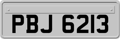 PBJ6213