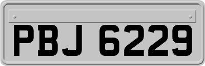 PBJ6229