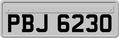 PBJ6230