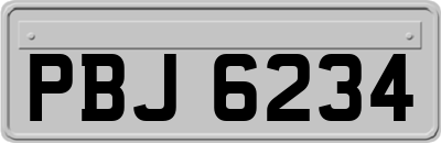 PBJ6234