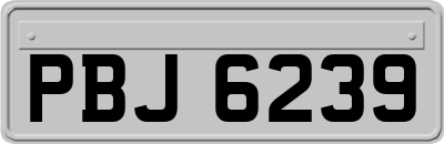 PBJ6239