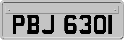 PBJ6301