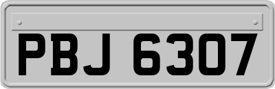 PBJ6307