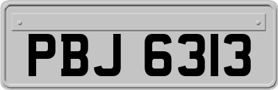 PBJ6313