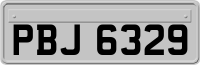 PBJ6329