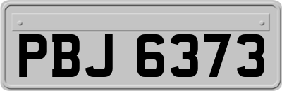 PBJ6373