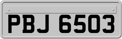 PBJ6503