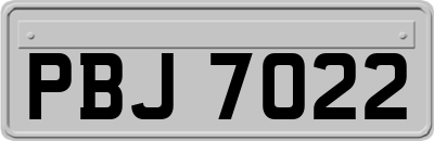 PBJ7022