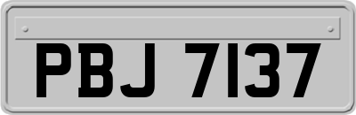 PBJ7137