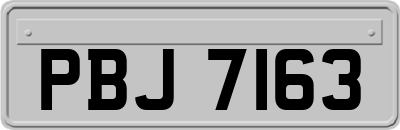 PBJ7163