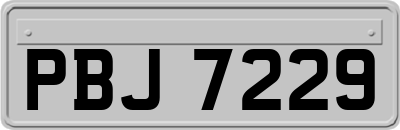 PBJ7229