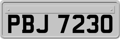 PBJ7230