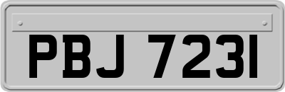 PBJ7231