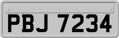 PBJ7234