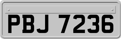 PBJ7236