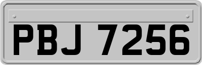 PBJ7256