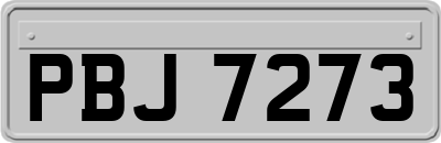 PBJ7273