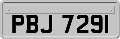 PBJ7291