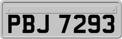 PBJ7293