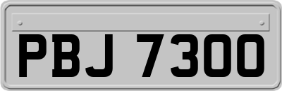 PBJ7300