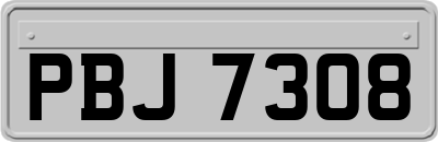 PBJ7308