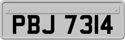 PBJ7314