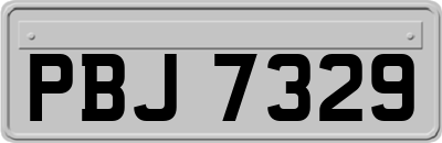 PBJ7329