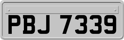 PBJ7339