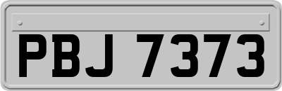 PBJ7373