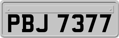 PBJ7377