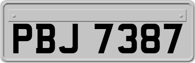 PBJ7387