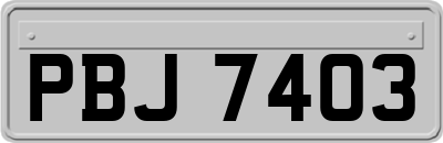 PBJ7403