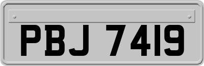 PBJ7419