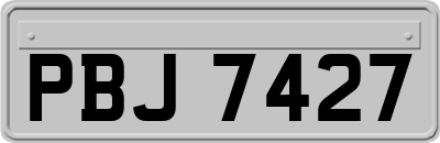 PBJ7427