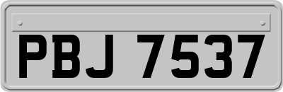 PBJ7537