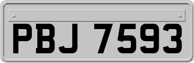 PBJ7593