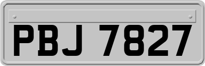 PBJ7827