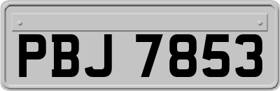 PBJ7853