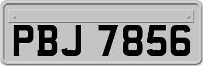 PBJ7856