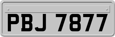 PBJ7877