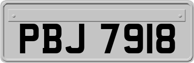 PBJ7918