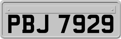 PBJ7929